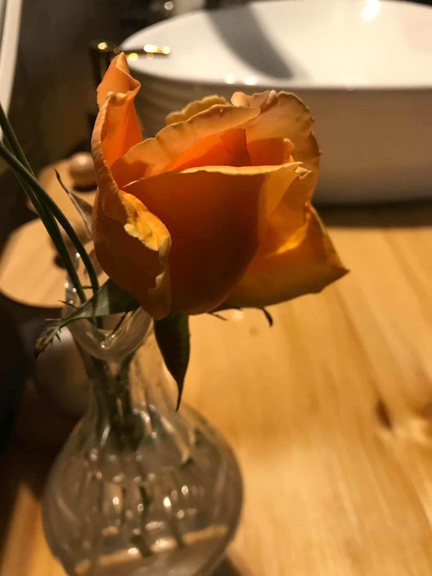 La Cubanita Acomodação com café da manhã Kojsko Exterior foto